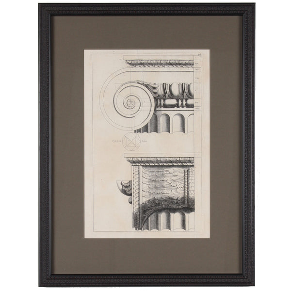19th c. Framed Antique Architectural Etching Ionic Capital