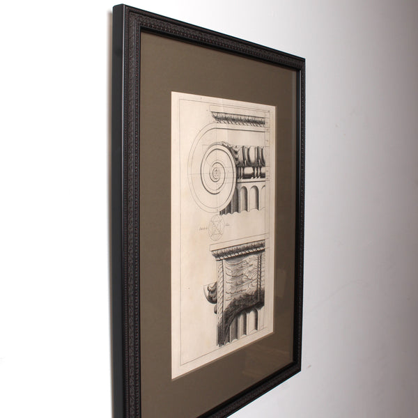 19th c. Framed Antique Architectural Etching Ionic Capital